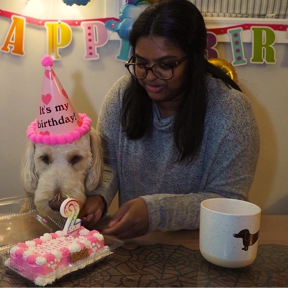 Meet your Posher, Yasoda - Picture 1 of 1